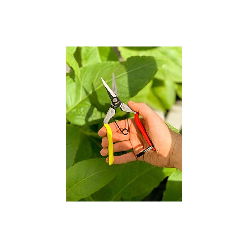 Oksinto Pro H420 - Pruning Scissors