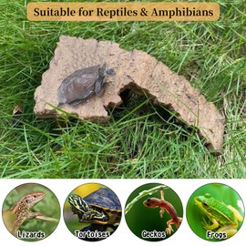 Fhiny Turtle Basking Platform, Tortoise Floating Dock Reptiles Habitat Climbing Ramp Fish Tank Turtle Resting Platform Aquarium Landscaping Decor for Small Reptile Frog Newts Terrapin