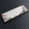 JSJT Shine Through Keycaps-Japanese Keycaps 129 teclas Plum Blossom juego