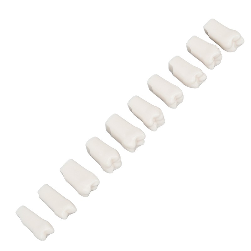 28Pcs Removable Teeth Piece Durable Plastic Removable Design False Teeth