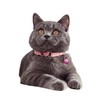WDPAWS Heart Bling Cat Collar with Safety Belt and Bell