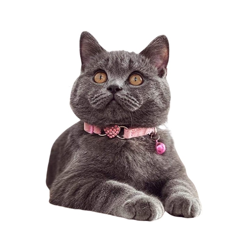 WDPAWS Heart Bling Cat Collar with Safety Belt and Bell