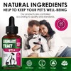 Сat Urinary Tract Infection Treatment with Cranberry – Dog UTI