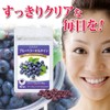 Dainichi Healthy Foods Blueberry Lutein 60 Tablets (Tablet Type) x