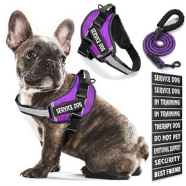 Bcadem Service Dog Vest, 9 Dog Patches No Pull Dog Harness and Leash Set with Handle,Easy On and Off Pet Vest Harness with Night Safe Reflective Straps for Small Medium Large Breed Dogs