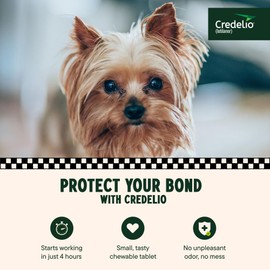 Credelio (lotilaner) Tick & Flea Treatment + Flea Infestation Protection for Dogs 4.4-6.0 lbs. (3 Tablets)