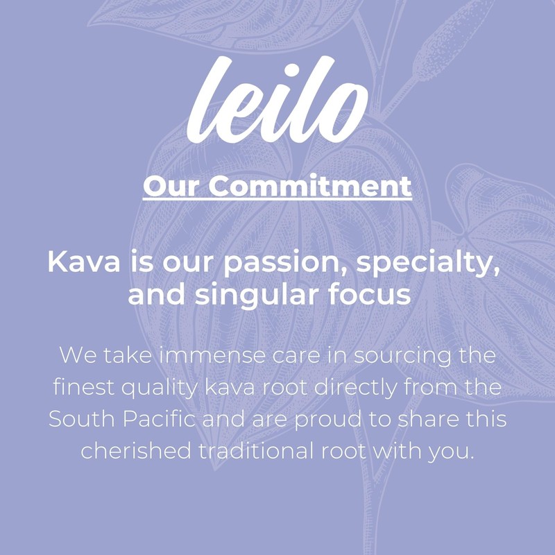 LEILO | Kava Powered Sparkling Relaxation Drink | BlackBerry Orange