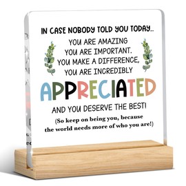 Inspirational Desk Decor, Employee Appreciation Gifts, Inspirational Gifts for Women Appreciation Gifts for Coworkers, Motivational Quote Clear Acrylic Desk Decoration for Office Home