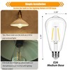 winsaLED 12 Pack 2W LED Edison Bulbs, 25 Watt Light