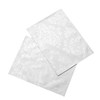 Palazzo Damask Snow (White) Pack Of 2 Placemats (33x45cm-13x18in Approx)