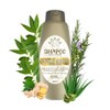 Shampoo Orgánico Ozonizado De Romero y Aloe Vera y Vitamina