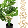 Augshy 4 Pcs Plant Stem Support,Gold Metal Climbing Holder Stabilizer