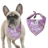 HCYUN 1 x Bandana for Dogs, Triangle Easter Collar for