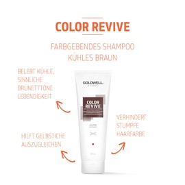 Goldwell Dualsenses Color Revive Cool Brown Shampoo for All Brunette Hair Types 250ml