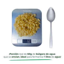 kefir tibicos bulgaros de agua hongos del tíbet probióticos