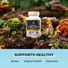 Ancient Nutrition Ancient Nutrition Regenerative Organic Certified Probiotics for Women,
