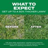 Scotts Turf Builder Thick'R Lawn Tall Fescue Mix - Combination