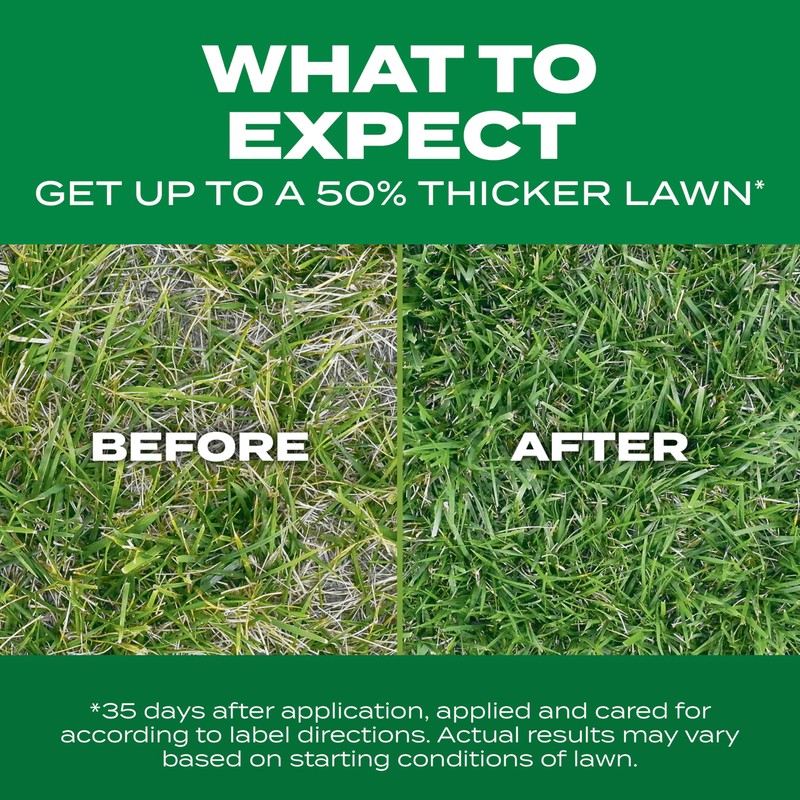 Scotts Turf Builder Thick'R Lawn Tall Fescue Mix - Combination