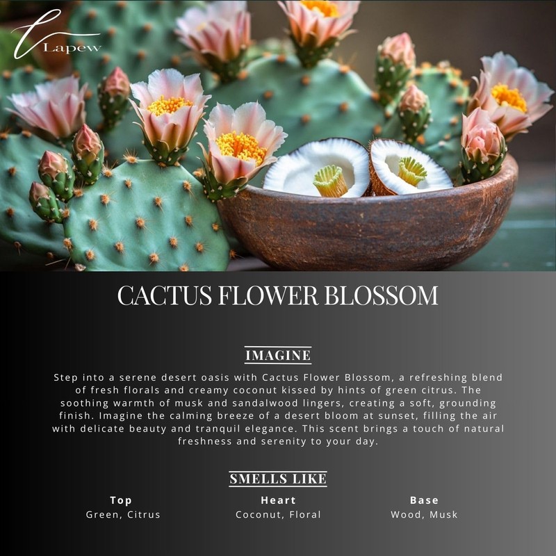 LaPew Cactus Flower Blossom Bundle – Carpet Deodorizer Powder &