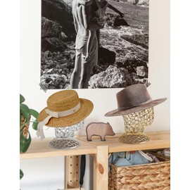 CHADWICK Wig Head Stand Metal Hollow Mannequin Head Hat Display Stand Wig Holder, Wig Display Model Head Wig Stand for Wigs, Hats, Caps, Headdress, Headphones, Dome + Detachable Stand, Chrome Gold