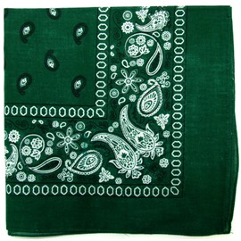 Kaiser Novelty Bandanas Paisley Cotton Bandanas (Hunter Green 22 X 22 in)