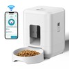 2L Cat Timing Feeder Tuya APP Smart Cat Feeder Pet