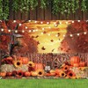 Leowefowa Fall Banner 10x8ft Polyester Harvest Hay Farm Pumpkin Patch