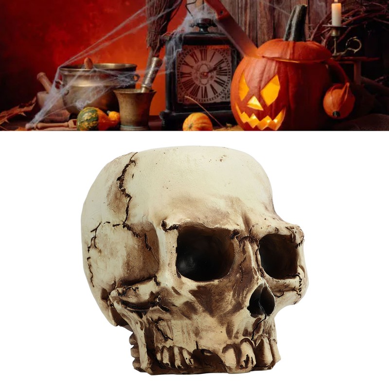 Skull Head Flower Pot Resin High Strength Clear Shape Skull