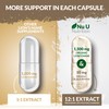 Organic Lions Mane Supplement 1500mg - 180 Vegan Capsules -