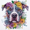 CafePress American Pit Bull Terrier 20x6 Wall Decal, Vinyl Wall