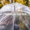 Transparent Umbrella, Full Automatic 3 Folds Folding Transparent Auto Open
