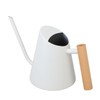 Watering Can with Long Spout 800ml Stainless Steel Matte Indoor