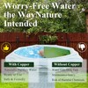 Fashtour Copper Bird Bath Disks (2-Pack), 4.2" Large Surface, 20%