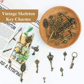 COYUN Vintage Key Decorative Keys, Antique Keys, Vintage Skeleton Keys Flying Keys, Vintage Antique Pendant Set, Pack of 46