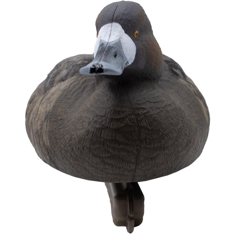 Final Approach Live Foam Filled Bluebills, Decoy 6 Pack