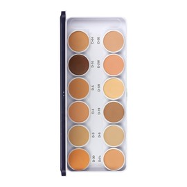 C2P Pro Ultra HD Cover & Conceal Waterproof Foundation Palette 12 in 1, Oxidizeproof Makeup Base Dermashield Concealer Palette for Face Makeup - 42 gm