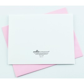 Sunshine Expressions Blooming Rose High-End Photographic Smooth Note Cards 8 w/10 Colored Envelopes, Boxed Set (4.25"x 5.50") Blank Inside - Made in USA