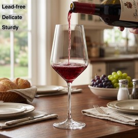 ANBFF Crystal Wine Glasses Set of 2-21oz Hand Blown Long Stem Red and White Wine Glass with Pourer and Stopper - Elegant Design in Gift Box for Home Bar, Birthday, Wedding, Anniversary