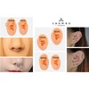 AROWRO G23 Titanium Nose Rings Hoop 18G 16G 14G Seamless