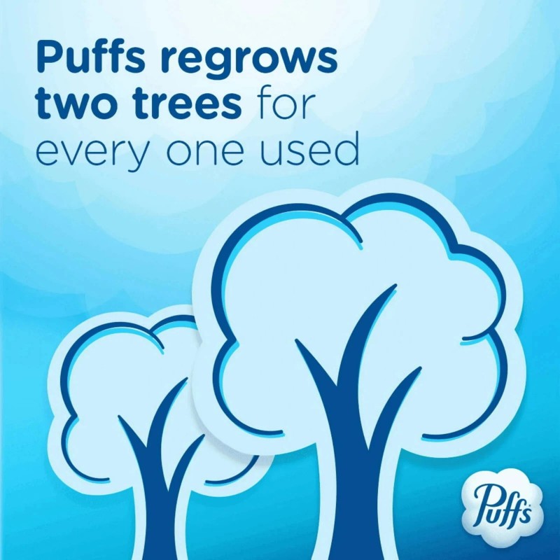 Puffs Plus Lotion Facial Tissue, 6 Family Size Boxes, 124