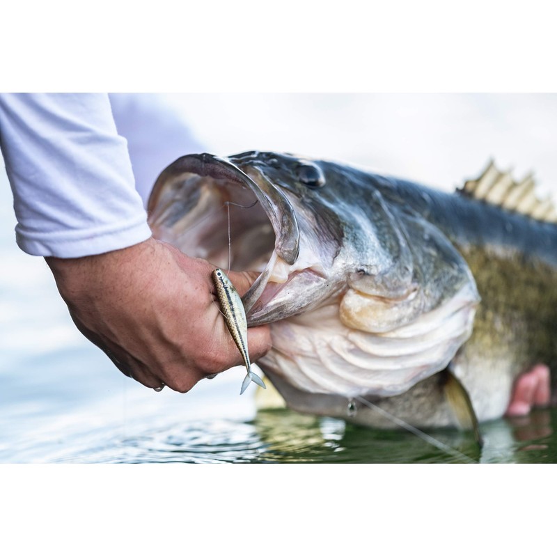 PowerBait The Champ Minnow HD Bluegill 3.4in | 8.5cm