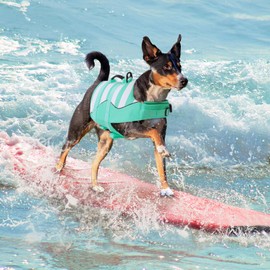 ASENKU Life Jacket Dog Small Dog Life Jacket Sports Style with Rescue Handle Adjustable Good Buoyancy Life Jacket Dog XS for Dachshund Chihuahua French Bulldog Labrador