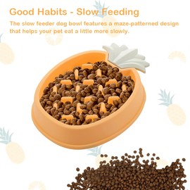 Aimondow Slow Feeder Dog Bowl, Puppy Food Maze Bowl, Puzzle Feeding Bowls for Cat and Dog, Dog Dishes to Slow Down Eating, Cute Fruit Shape (Orange)