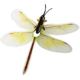 EEZ RV Products Solar Powered Dancing Hummingbird/Bu - Dragonfly