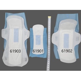 Daily Herbal Energy TianDe 61901 Sanitary Pads Economy Pack 3 x 20