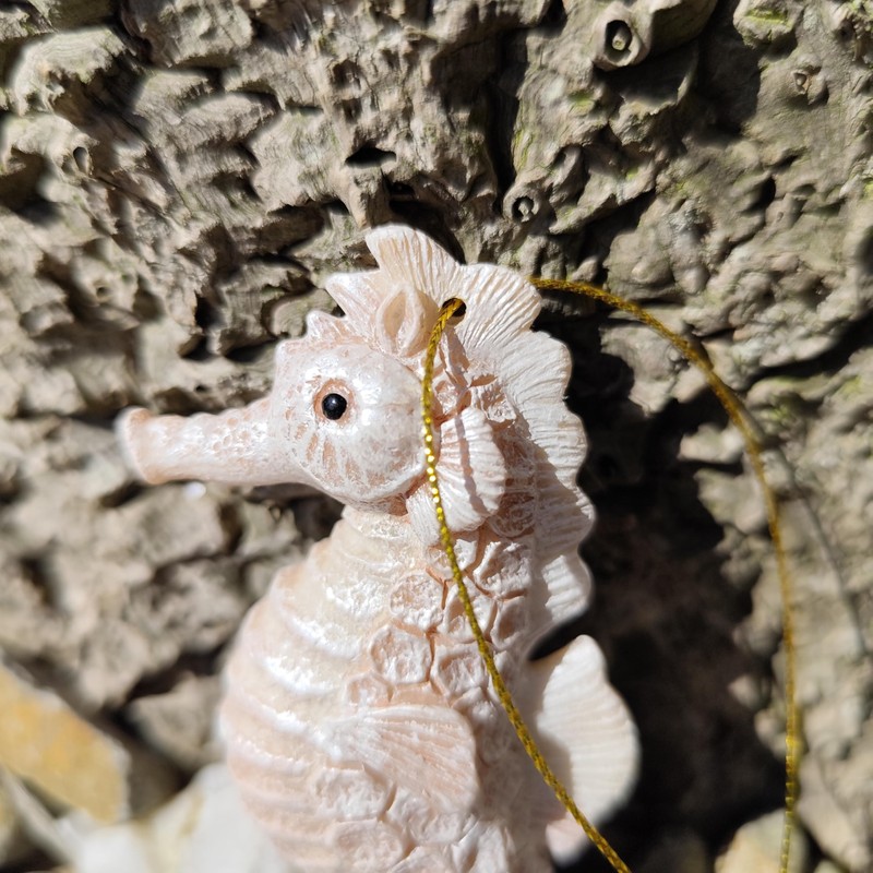 Vivid Arts - Seahorse Hanging Ornament - Indoor Outdoor (2,