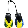 Jamaica and Bahamas - Mini Boxing Gloves