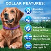 Dog Collar, Reflective Nylon Dog Collars, Adjustable with Quick Release