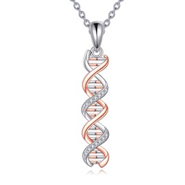 JBAERD DNA Double Helix Necklace Sterling Silver DNA Pendant DNA Jewelry Gifts for Men Women