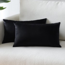 Sungeek Pack of 2 Velvet Cushion Covers Soft Decorative Pillow Covers with Invisible Zipper Luxury Throw Pillow Cases for Home Decor Sofa Bedroom Living Room 30x50cm Black